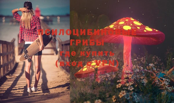 ALPHA PVP Нефтекумск
