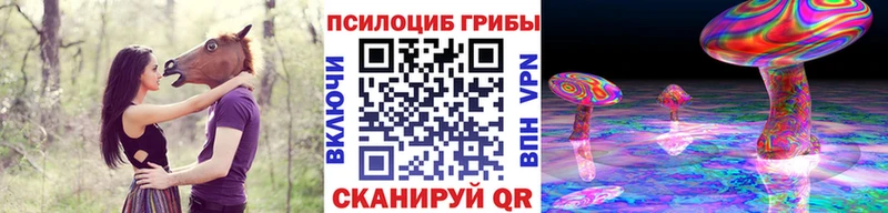 Галлюциногенные грибы ЛСД  Туринск 